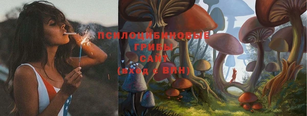 альфа пвп Няндома