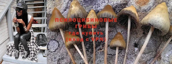 альфа пвп Няндома