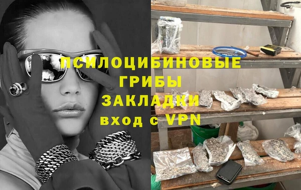 альфа пвп Няндома