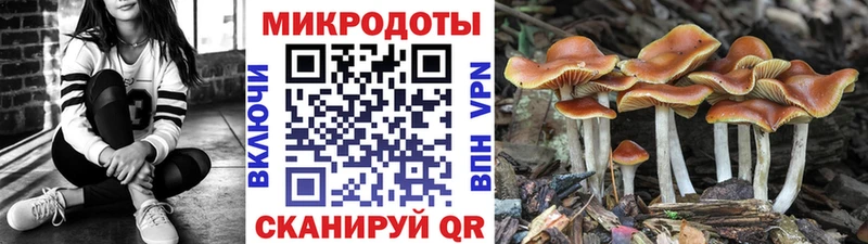 Купить где  Светлый  Галлюциногенные грибы мицелий 
